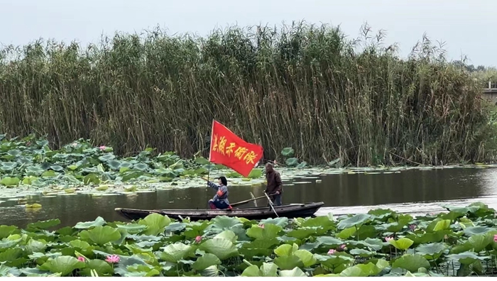 许雅静2024年9月20日拍摄于洪湖.jpg